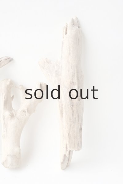 画像4: 小枝流木セット (4)