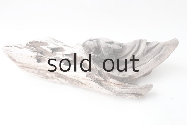 画像6: 変形流木 (6)