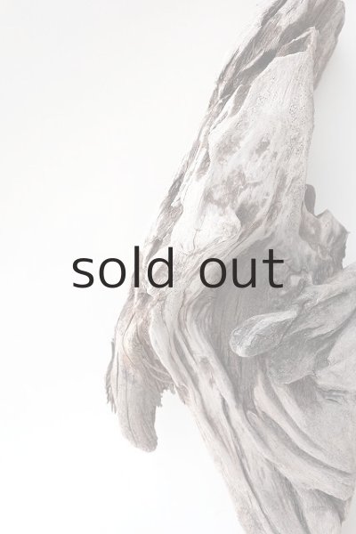 画像4: 変形流木 (4)