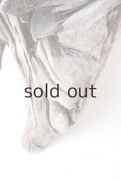 画像2: 変形流木 (2)