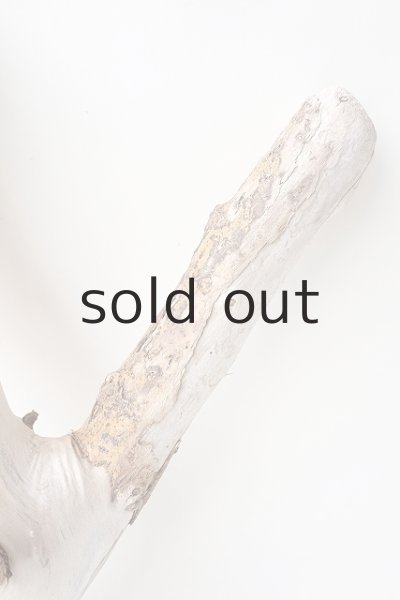 画像4: 変形流木 (4)