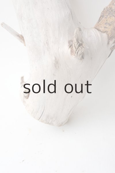 画像2: 変形流木 (2)