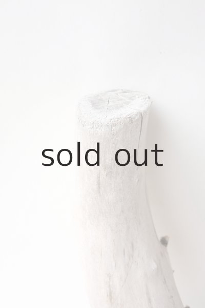 画像3: 変形流木 (3)