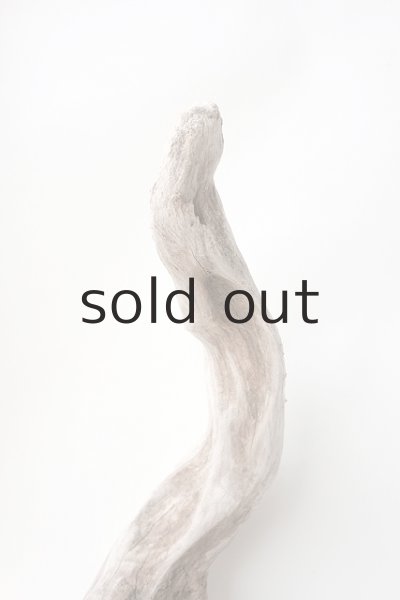 画像5: 変形流木 (5)