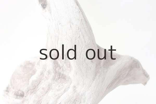 画像3: 変形流木 (3)