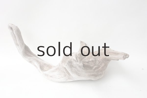 画像6: 変形流木 (6)