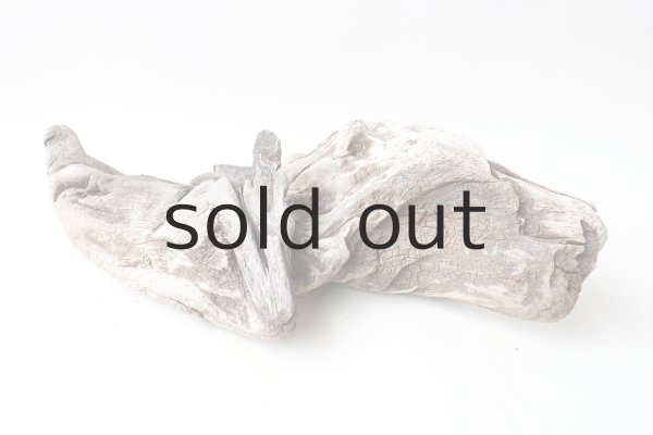 画像8: 変形流木 (8)