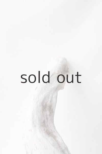 画像4: 変形流木 (4)