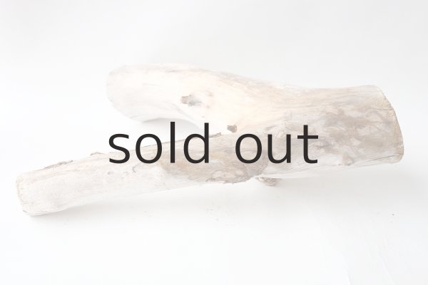 画像6: 変形流木 (6)