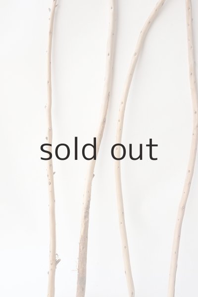 画像5: 棒流木セット (5)