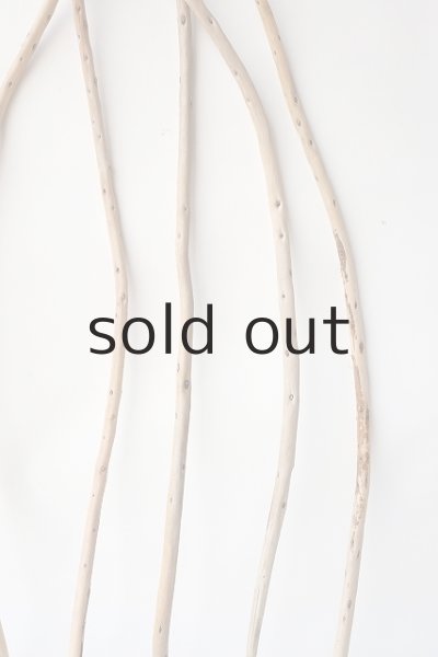 画像6: 棒流木セット (6)