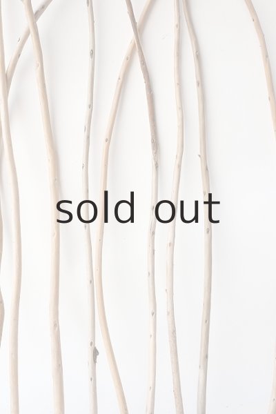 画像6: 棒流木セット (6)