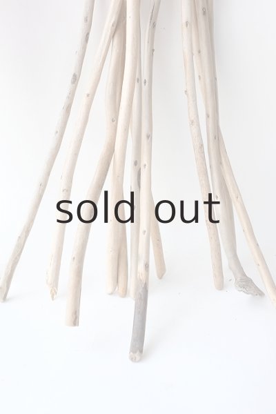 画像8: 棒流木セット (8)