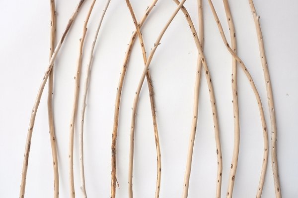 画像3: 棒流木セット (3)