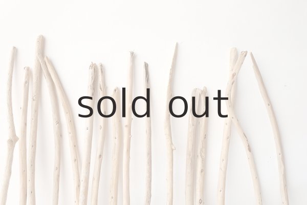 画像3: 棒流木セット (3)