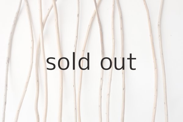 画像3: 棒流木セット (3)