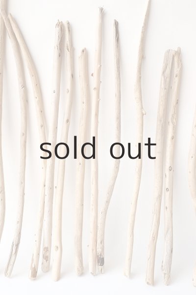 画像5: 棒流木セット (5)