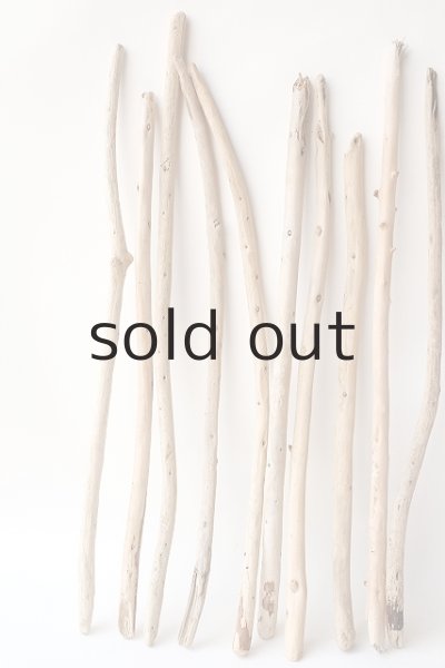 画像4: 棒流木セット (4)