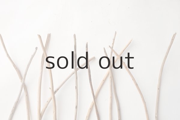 画像4: 棒流木セット (4)