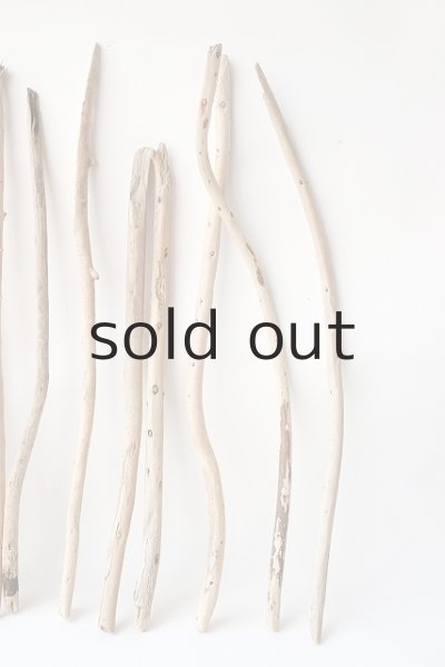 画像6: 棒流木セット (6)