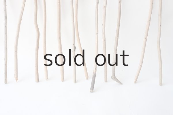 画像2: 棒流木セット (2)