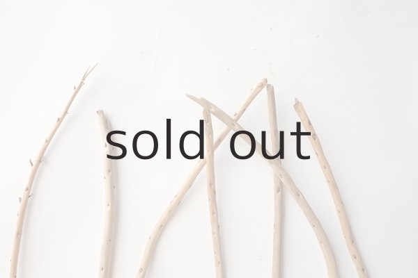 画像4: 棒流木セット (4)