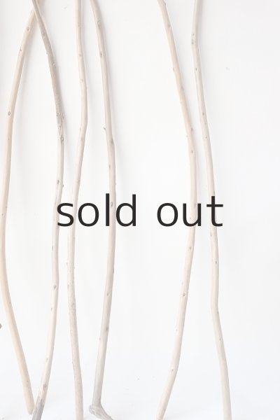 画像7: 棒流木セット (7)