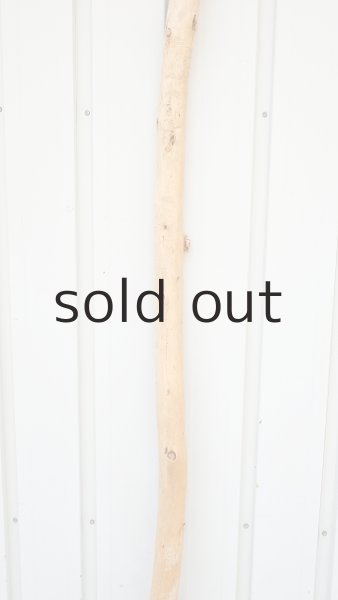 画像3: 棒流木・長尺 (3)