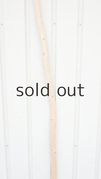 画像3: 棒流木・長尺 (3)