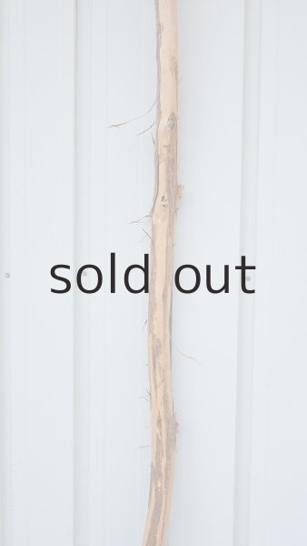 画像4: 棒流木・長尺 (4)