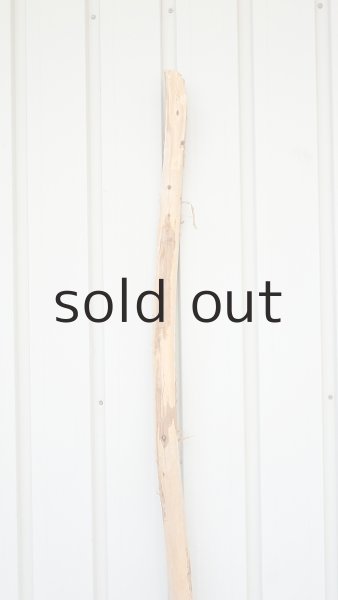 画像4: 棒流木・長尺 (4)