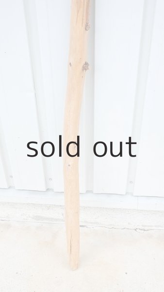 画像2: 棒流木・長尺 (2)