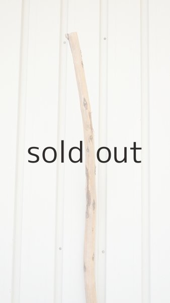 画像4: 棒流木・長尺 (4)