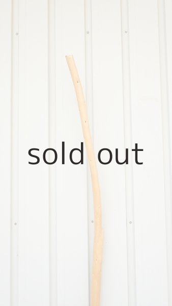 画像4: 棒流木・長尺 (4)