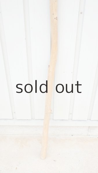 画像2: 棒流木・長尺 (2)