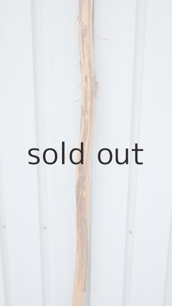 画像3: 棒流木・長尺 (3)