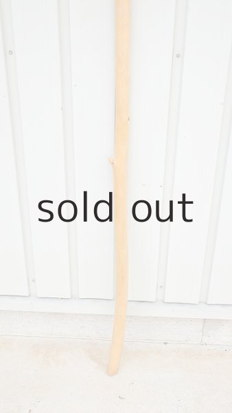 画像2: 棒流木・長尺 (2)