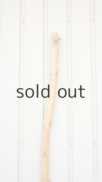 画像4: 棒流木・長尺 (4)