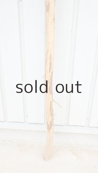 画像2: 棒流木・長尺 (2)