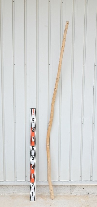 画像3: 棒流木・長尺