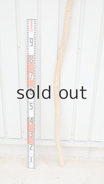 画像5: 棒流木・長尺 (5)