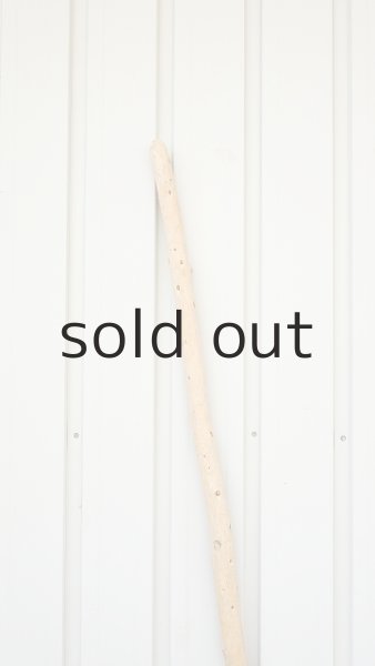 画像4: 棒流木・長尺 (4)