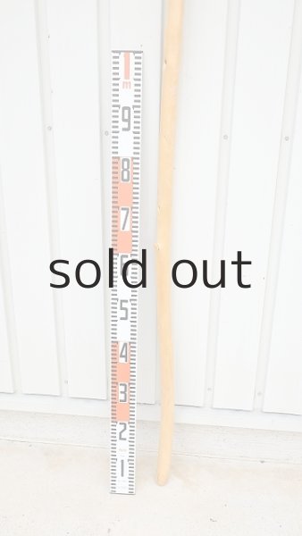 画像5: 棒流木・長尺 (5)