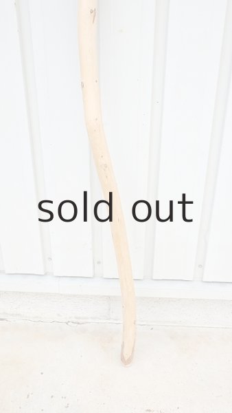 画像2: 棒流木・長尺 (2)