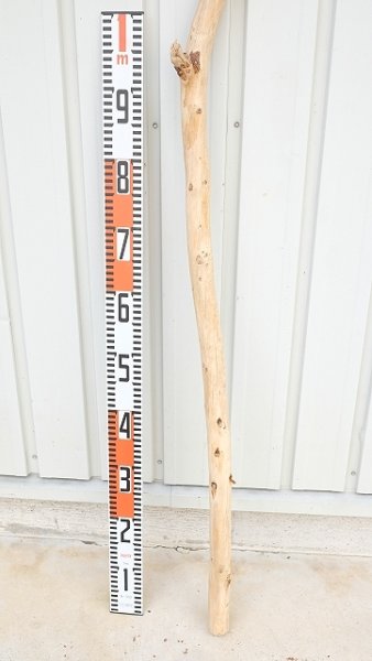 画像5: 棒流木・長尺 (5)