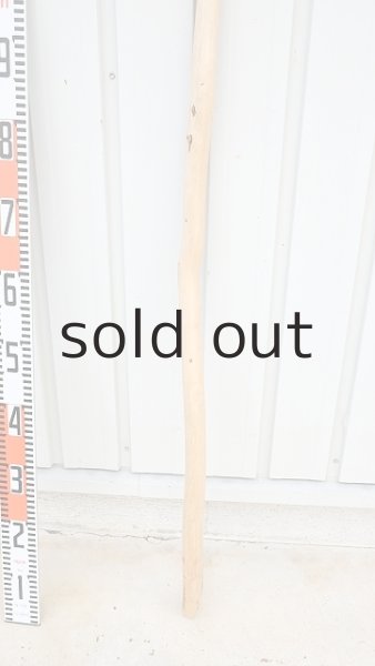 画像5: 棒流木・長尺 (5)