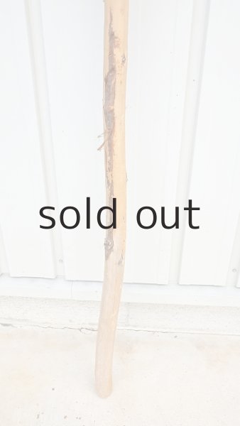 画像2: 棒流木・長尺 (2)