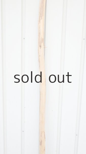 画像3: 棒流木・長尺 (3)