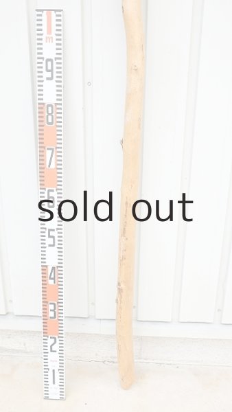 画像5: 棒流木・長尺 (5)