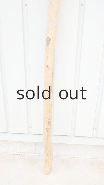 画像2: 棒流木・長尺 (2)